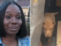 Terrika Currence catches Amazon driver trying to steal her puppy dog